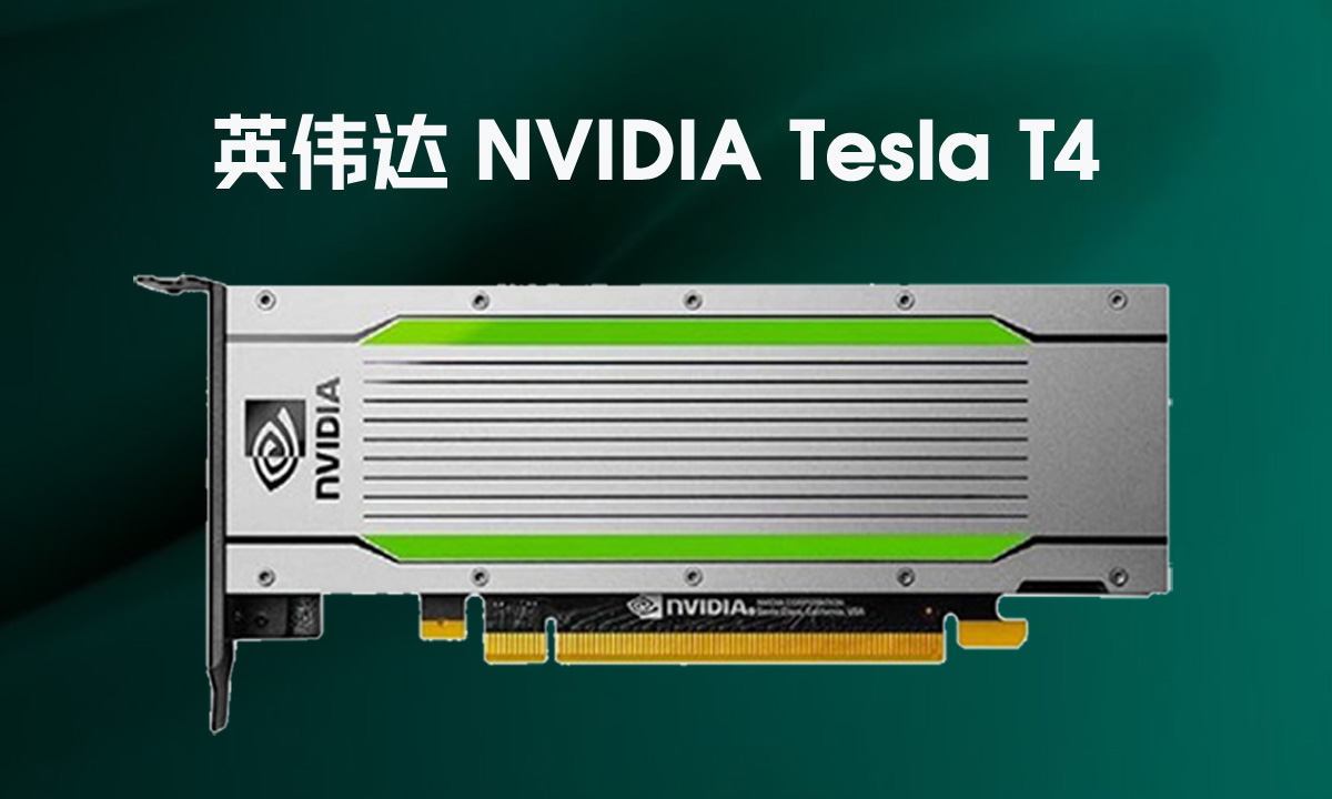 英伟达 NVIDIA Tesla T4 GPU 显卡为什么这么火吗？